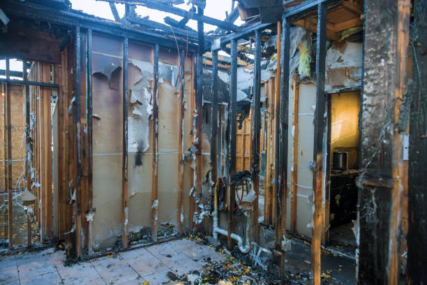 Professional Fire Damage Repair technician working in Brunswick, GA